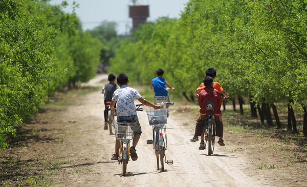 Closure of schools is a harsh lesson