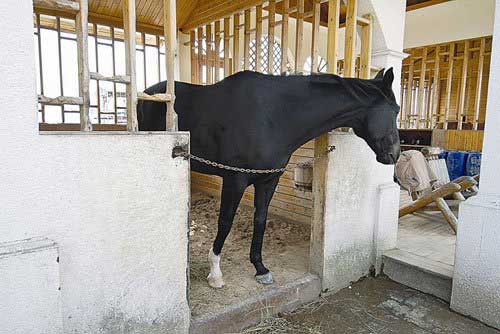深圳“海上皇宮”超奢華內(nèi)景曝光