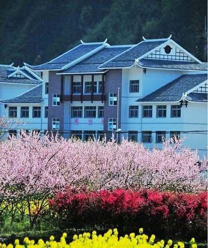 網曝張家界最牛鄉村學校