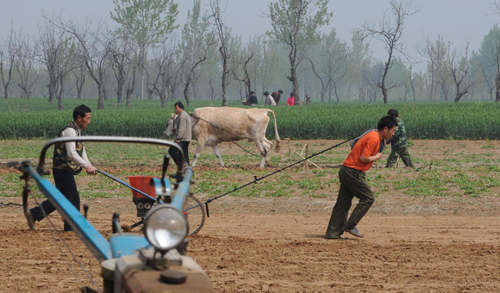 河南農民趁墑播種