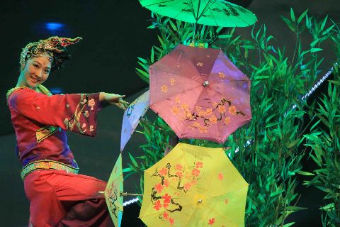 “兩岸同歌”文藝晚會激情上演