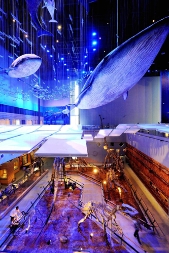 廣東省博物館新館5月18日正式開(kāi)放