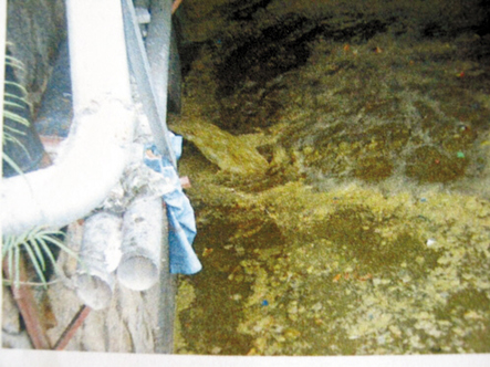 深圳最大水庫流入大量糞便 影響千萬人飲水(圖)