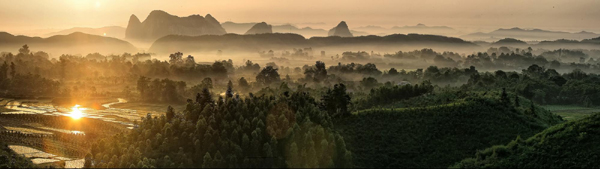 雨季田園如仙境