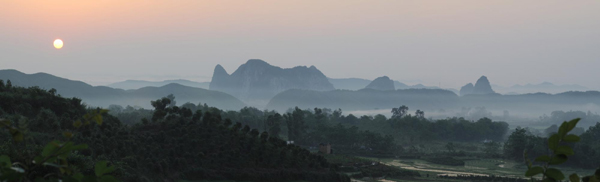 雨季田園如仙境