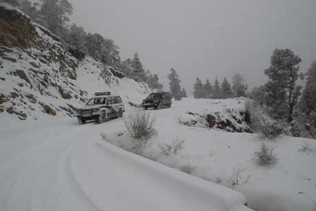 為了高原藏區的和諧安寧——云南迪慶藏族自治州中級人民法院工作紀實