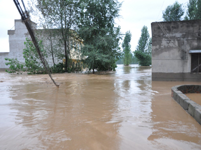 河南淅川：近三十萬受災群眾已被妥善安置