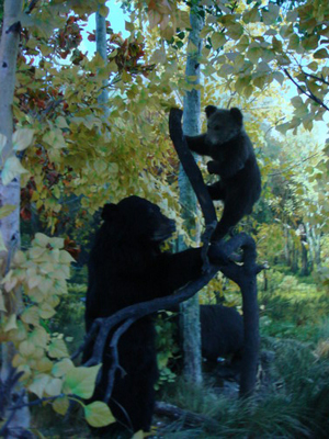 第四屆網媒龍江行：富錦的濕地文化