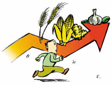 三大主糧價格輪番創出新高 糧價“接力”漲　誰在背后推