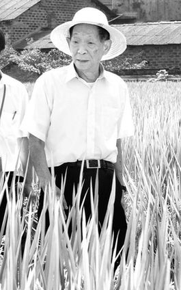 袁隆平:90歲時實現畝產1000公斤