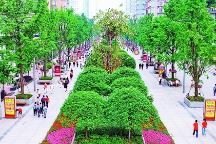 2010年 重慶市容 蝶變