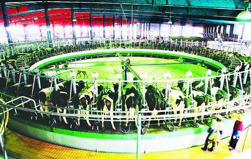 新型牧場上規模（圖）