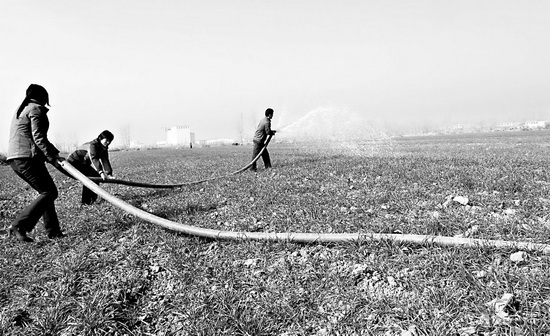 迅速行動奮力抗旱（圖）