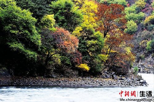 盤(pán)點(diǎn)國(guó)內(nèi)十大“秋色”