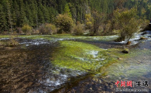盤點國內(nèi)十大“秋色”