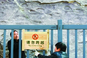 北京首次發(fā)現(xiàn)恐龍存活記錄：延慶驚現(xiàn)數(shù)百個(gè)大腳印