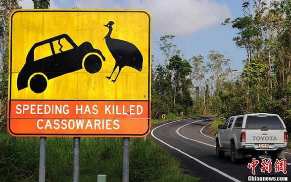 高清組圖：世界有趣的交通標(biāo)識大盤點