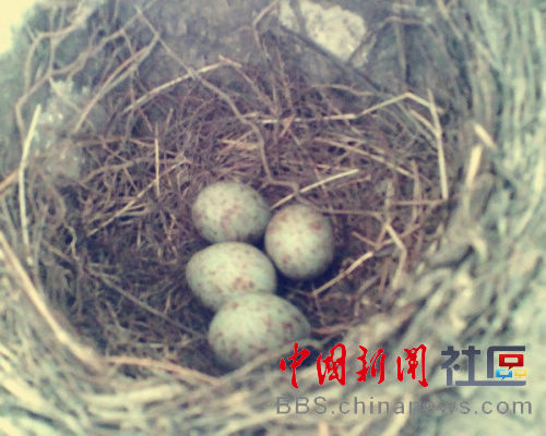 80后童年的冬天是這樣過的 這些你都做過嗎？