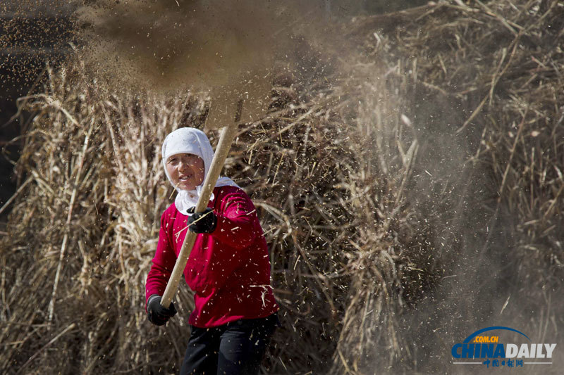 《中國日報》一周圖片精選:12月15日-12月21日