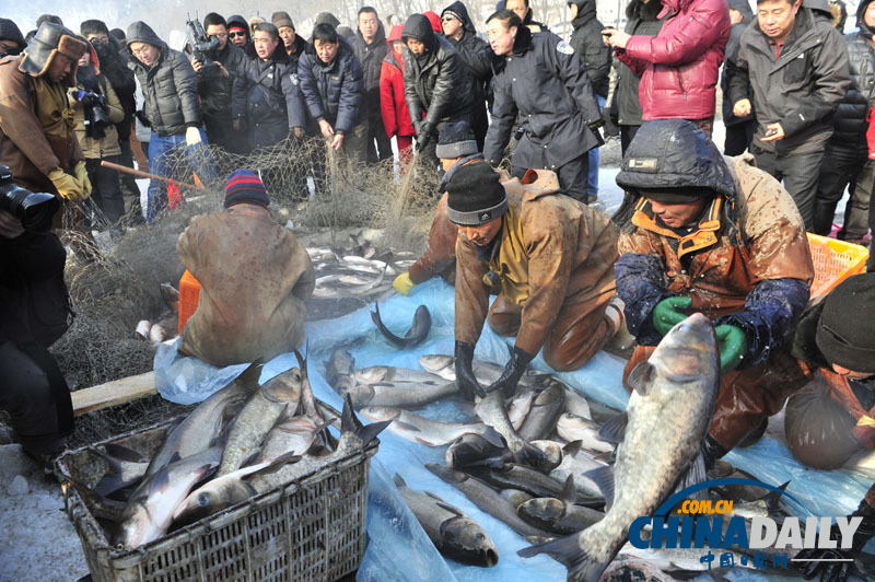 沈陽棋盤山首屆冬捕節開網捕魚