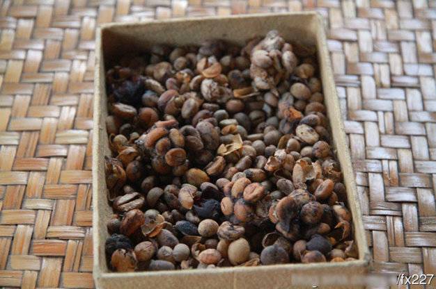 盤點動物糞便的奇妙用途