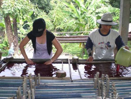 盤點動物糞便的奇妙用途