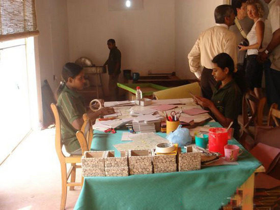 盤點動物糞便的奇妙用途