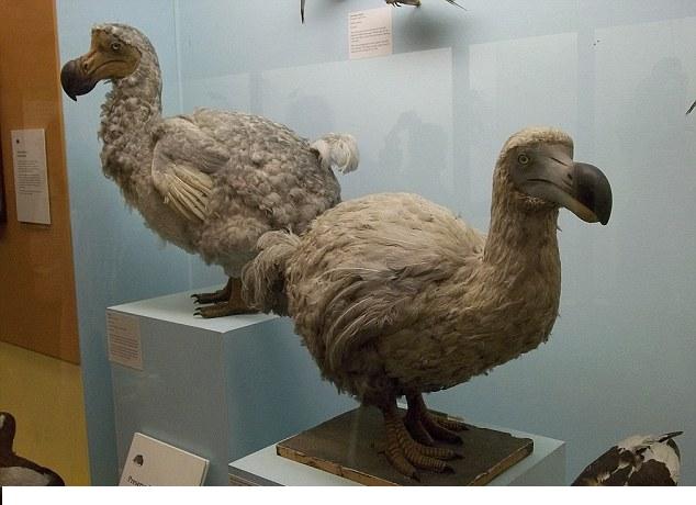 科學(xué)家有望復(fù)活24種滅絕動物 