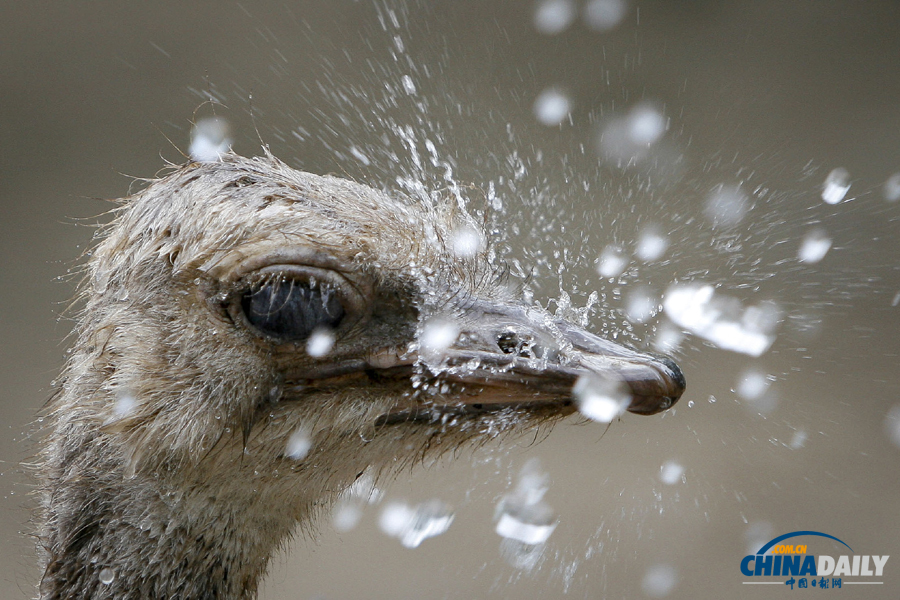 中國日報聚焦全國多地高溫天氣