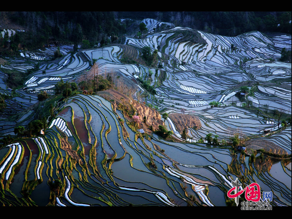 中國哈尼梯田成功列入世界遺產(chǎn)名錄