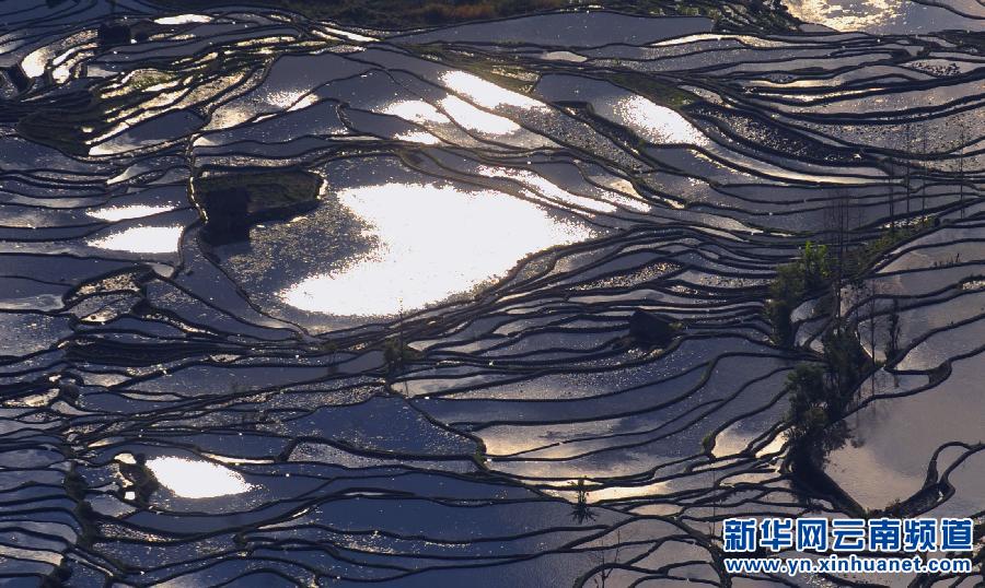 中國哈尼梯田成功列入世界遺產名錄