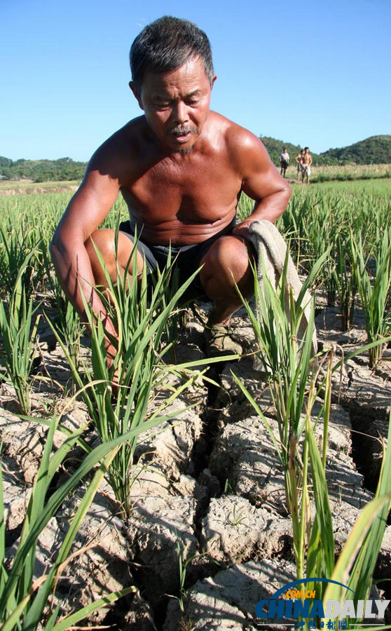《中國日報》一周圖片精選:7月20日-7月26日