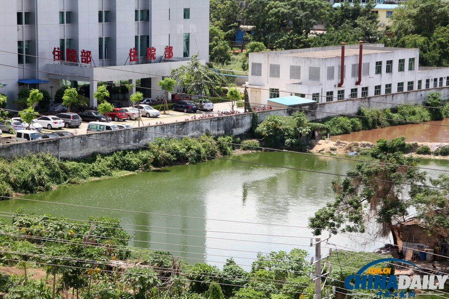 網曝海口上萬斤“垃圾魚”流向市場 官方介入調查