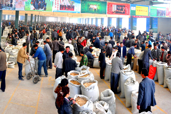 產業轉型正在展現新定西新顏面