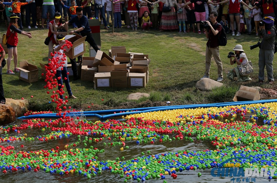 50000只五色小鴨深圳為愛漂流 壯觀場(chǎng)面引圍觀