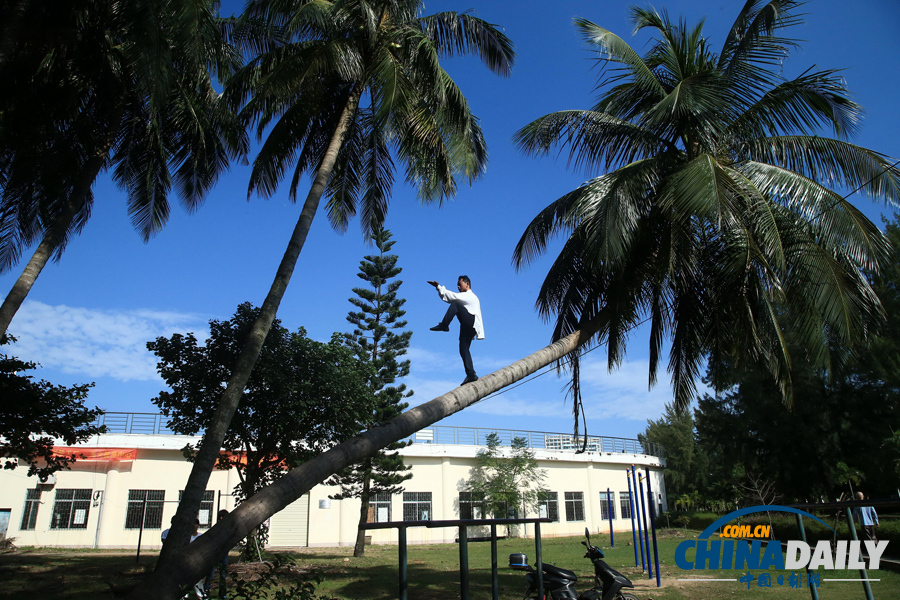 海南驚現(xiàn)椰子樹上練武功“神人”
