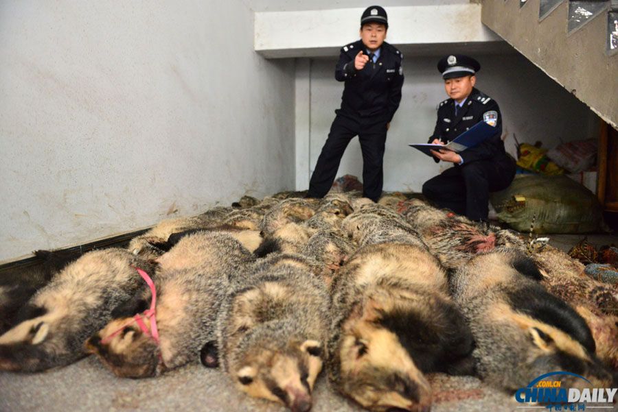 四川南充：“亮劍行動(dòng)”搗毀非法加工野生動(dòng)物窩點(diǎn)