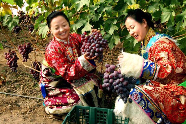 甘肅扶貧揚(yáng)帆起航助農(nóng)致富，放飛農(nóng)民小康夢想