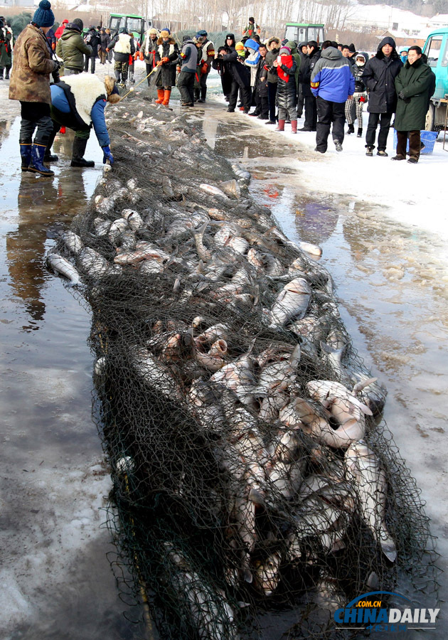 吉林長春石頭口門水庫開網(wǎng)捕魚