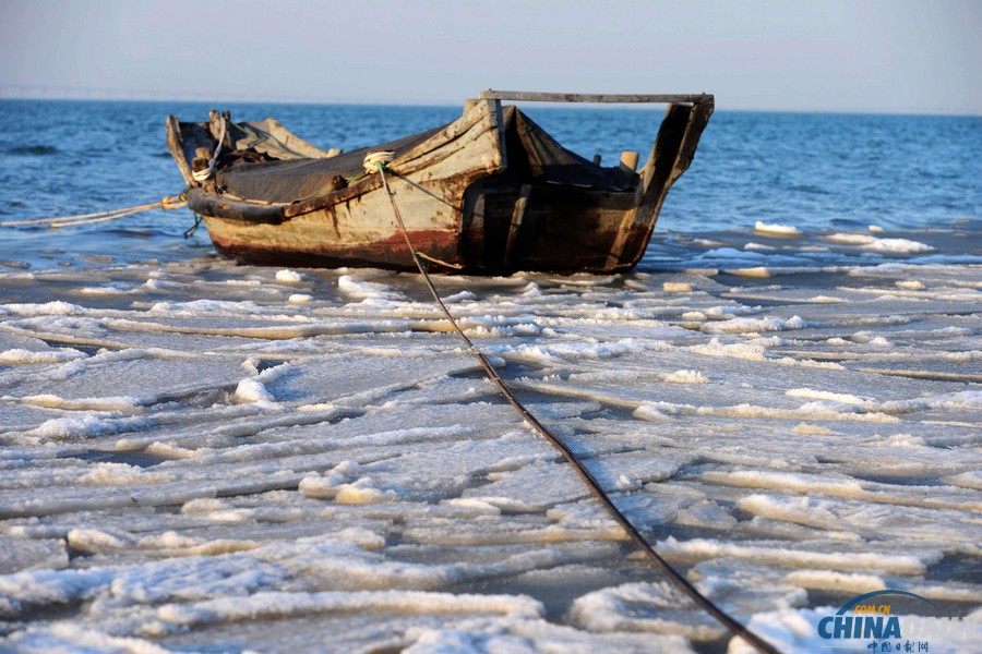 膠州灣出現初生海冰