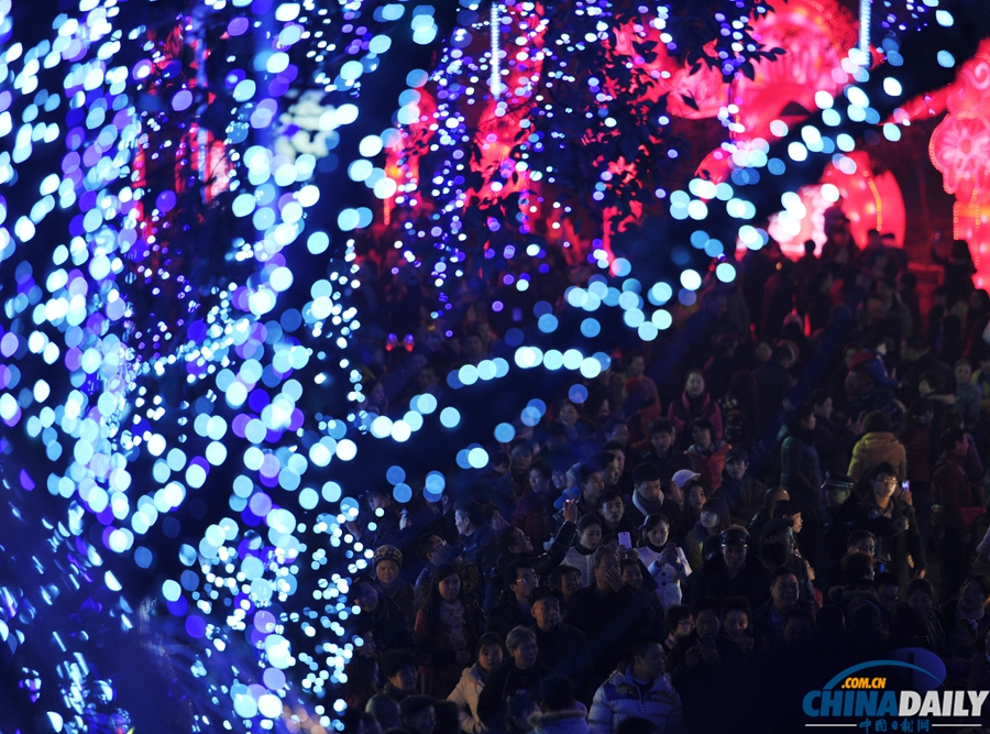 第20屆自貢燈會開園亮燈