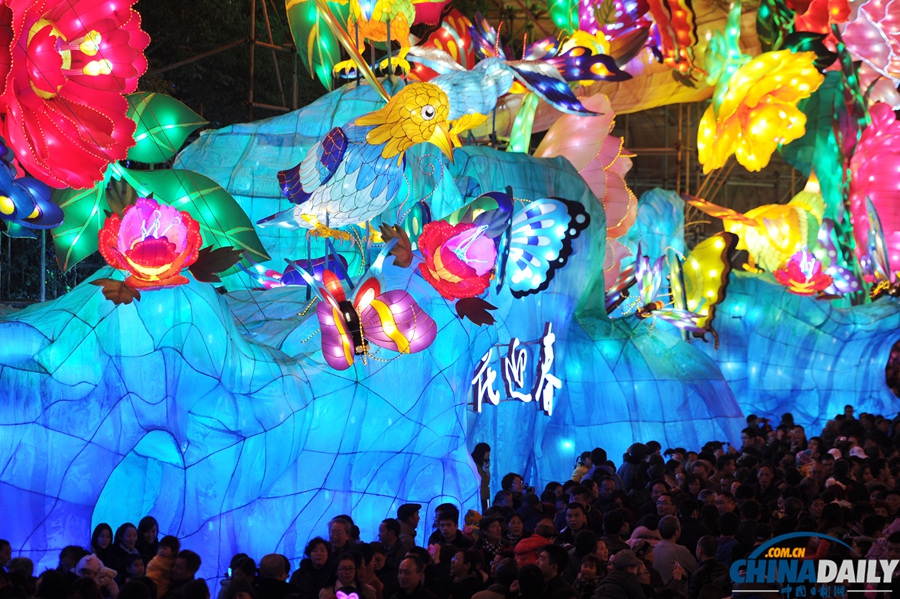 第20屆自貢燈會開園亮燈