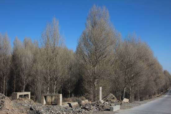 拿什么拯救日漸萎縮的老林場(chǎng)