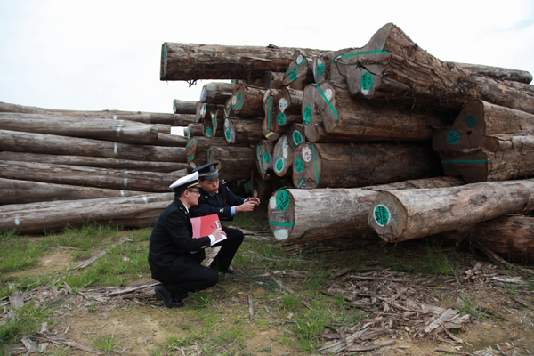 廣州海關破獲2.34億元走私高檔柚木案