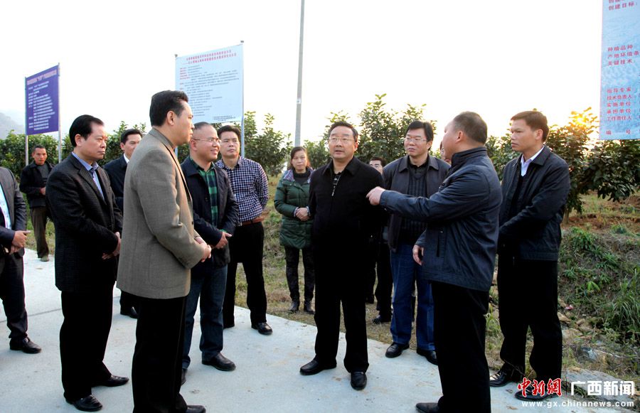廣西自治區(qū)副主席唐仁健到環(huán)江縣調(diào)研扶貧工作