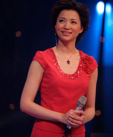 網曝央視主持人工資單月薪20萬 趙忠祥:央視不是暴發戶