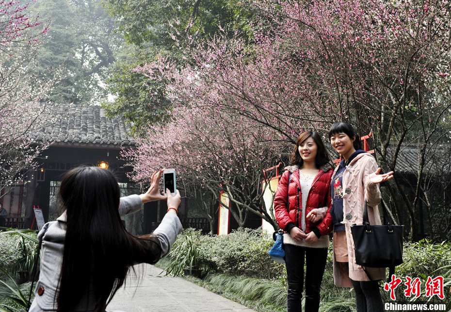 立春時節民眾著唐裝在甫草堂賞梅花