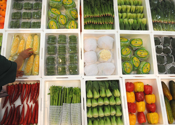 昆明舉辦泛亞國(guó)際農(nóng)業(yè)博覽會(huì) 無(wú)公害瓜果蔬菜受青睞