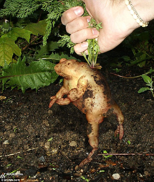 知名藝術(shù)網(wǎng)站擺圖片設(shè)計(jì)擂臺賽（組圖）