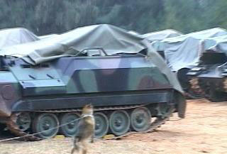 金門臺軍裁員兵不敷用 軍犬站哨守戰(zhàn)車